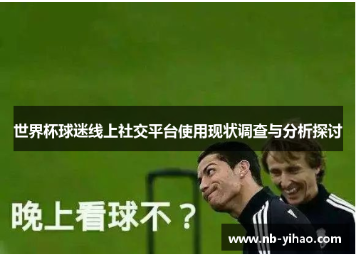 世界杯球迷线上社交平台使用现状调查与分析探讨