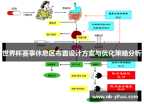 世界杯赛事休息区布置设计方案与优化策略分析