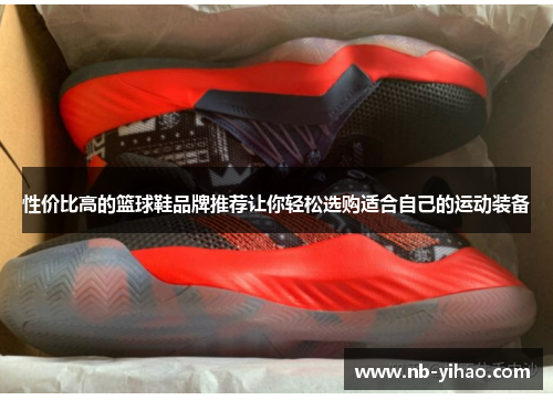 性价比高的篮球鞋品牌推荐让你轻松选购适合自己的运动装备