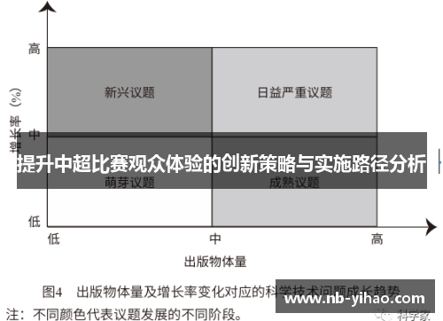 提升中超比赛观众体验的创新策略与实施路径分析