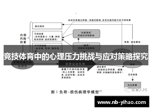 竞技体育中的心理压力挑战与应对策略探究