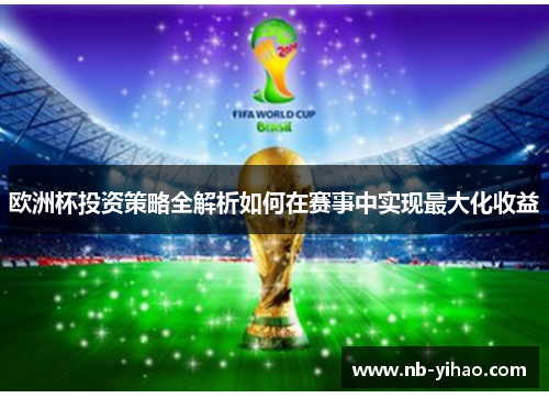 欧洲杯投资策略全解析如何在赛事中实现最大化收益