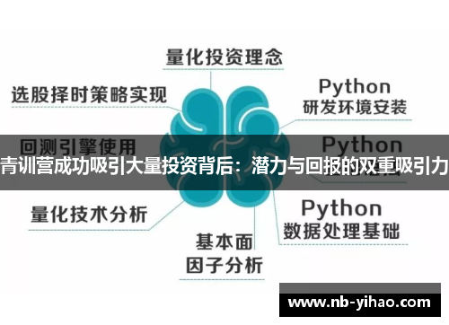 青训营成功吸引大量投资背后：潜力与回报的双重吸引力