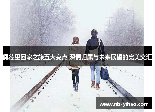 佩德里回家之旅五大亮点 深情归属与未来展望的完美交汇
