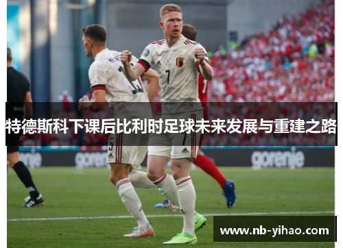 特德斯科下课后比利时足球未来发展与重建之路