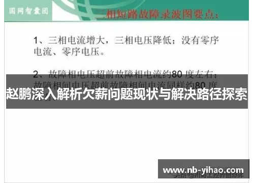 赵鹏深入解析欠薪问题现状与解决路径探索