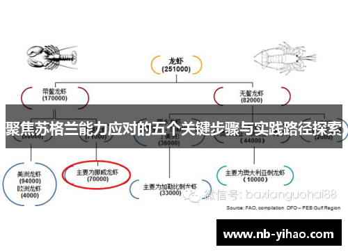 聚焦苏格兰能力应对的五个关键步骤与实践路径探索